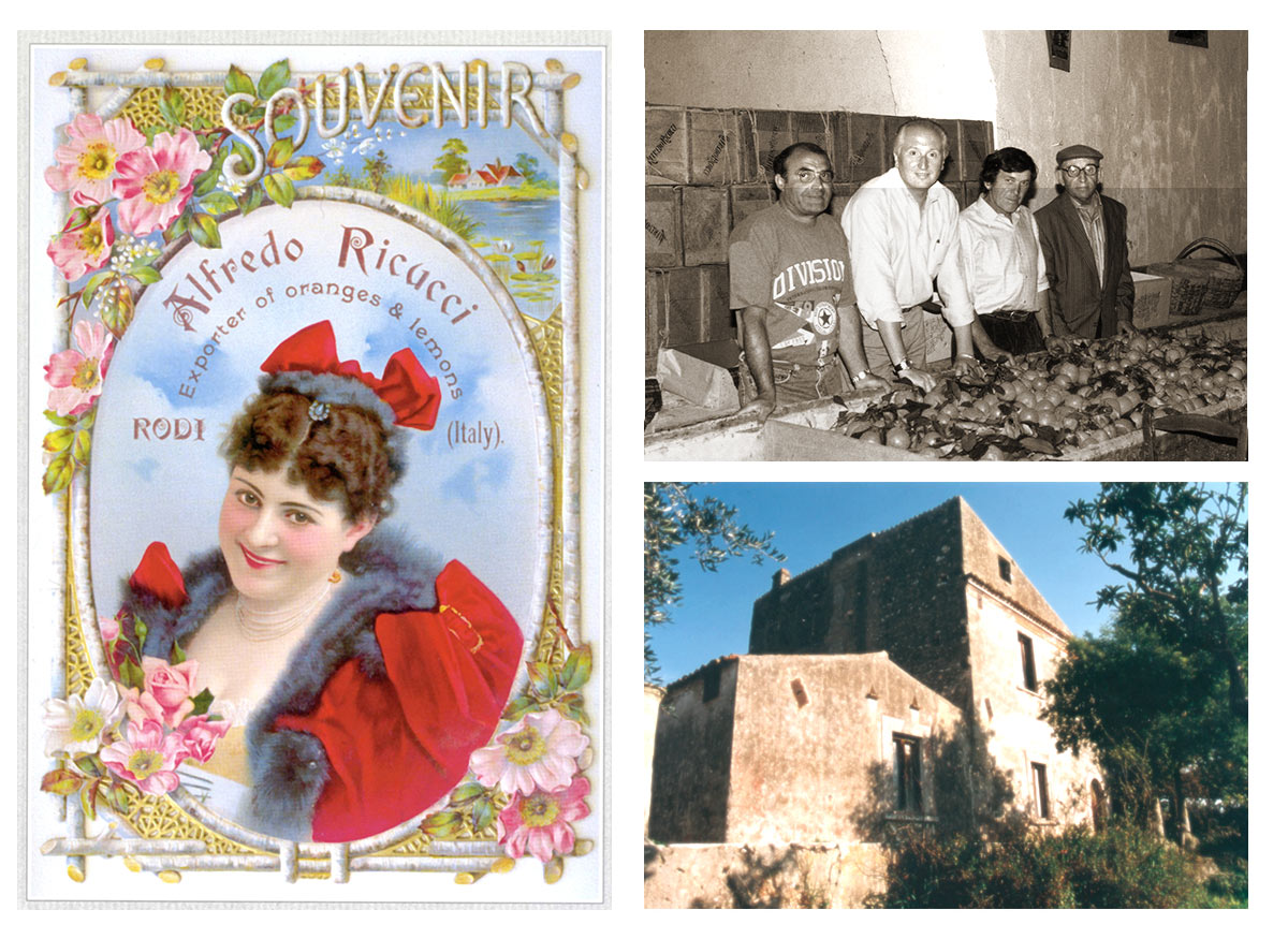 Agricola Ricucci — foto 3